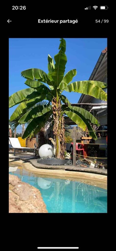 A La Marc'Quize Chambres D'Hotes, Petit Dejeuner Compris, Avec Piscine A Debordement En Exterieur, Bain Nordique A 38 Degres En Prestation Supplement Sur Reservation Horaire Anticipee 1 Place De Parking Gratuite Sur Place Mouxy Exterior foto